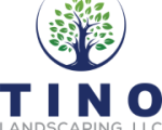 Tino Logo